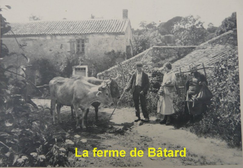 batard