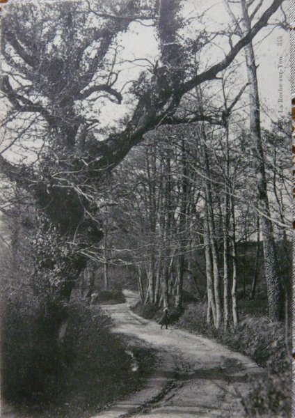p1040379
