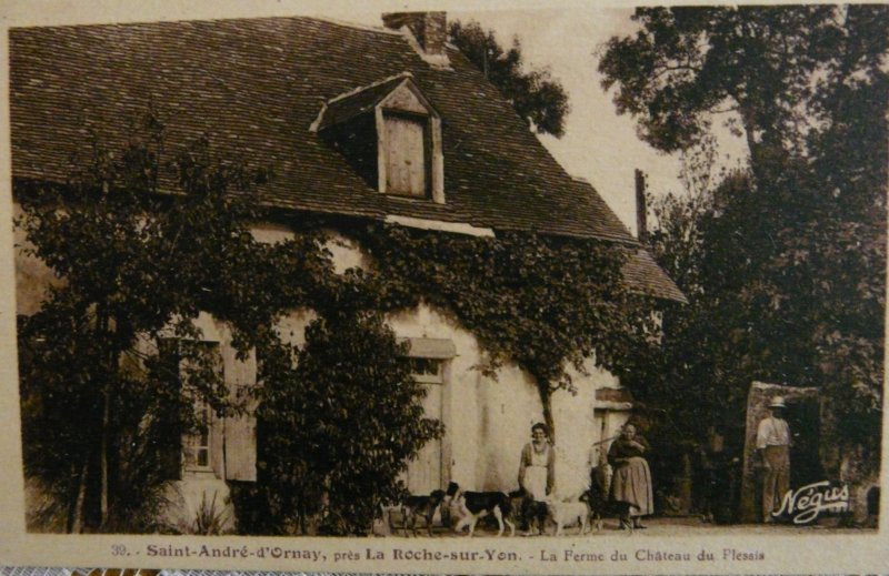p1040384